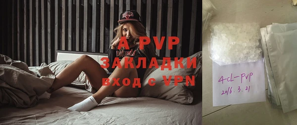 спиды Вяземский