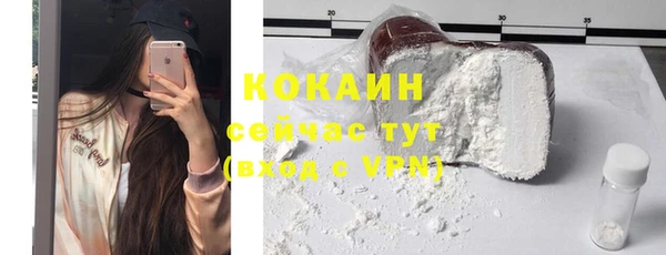 спиды Вяземский