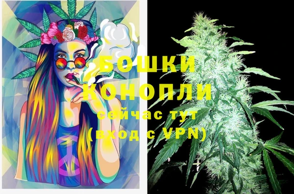 эйфоретик Вязьма