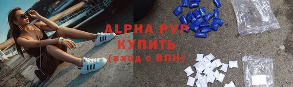 спиды Вяземский