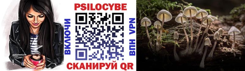 Псилоцибиновые грибы GOLDEN TEACHER  Елец 