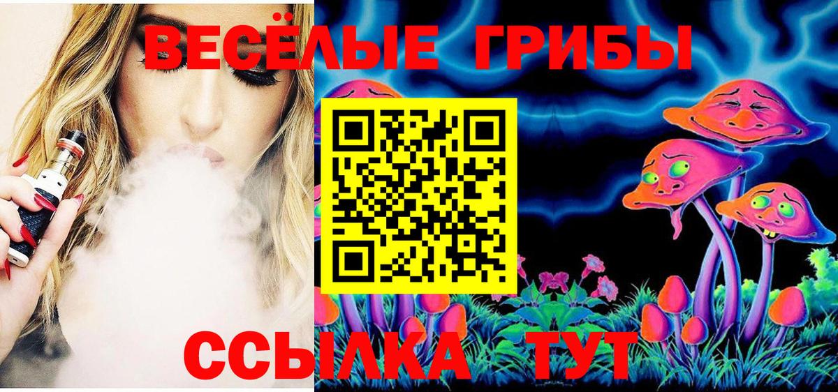 Псилоцибиновые грибы прущие грибы  Вход с VPN  где можно купить   Елец 