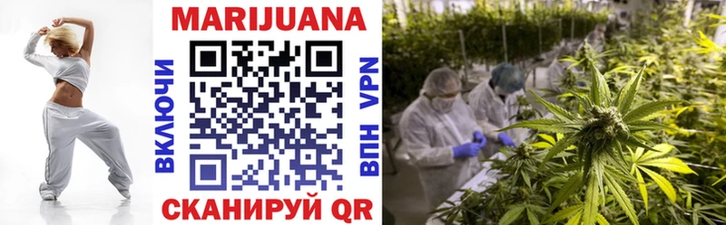 ссылка на мегу как зайти цены наркотик Елец Канабис SATIVA & INDICA